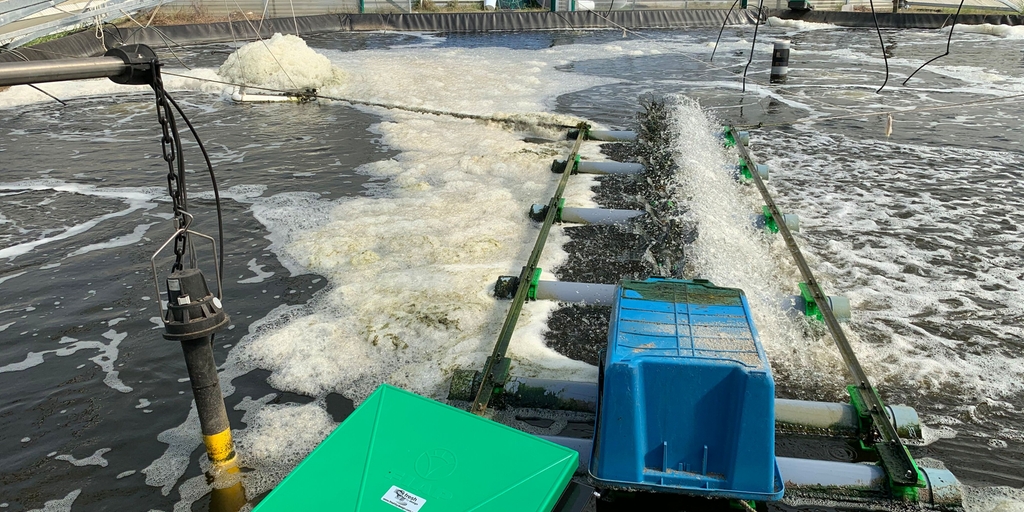 水产养殖系统中的水质实时监测